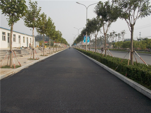 ���Ϸ������Ļ��Ų�����԰��������ΰ�¹���1946bv�ڶ����