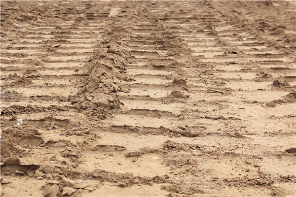 ΰ�¹���(victor1946)�ٷ���վ-Officials Website