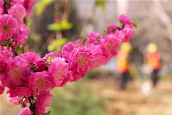 ΰ�¹���(victor1946)�ٷ���վ-Officials Website