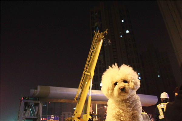 ΰ�¹���(victor1946)�ٷ���վ-Officials Website