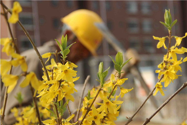 ΰ�¹���(victor1946)�ٷ���վ-Officials Website