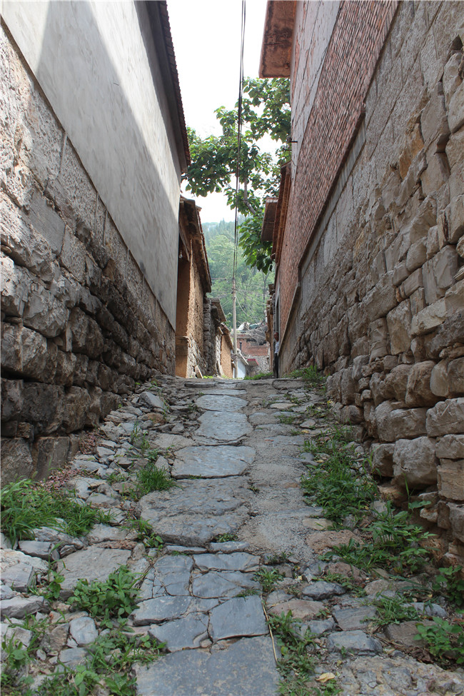 ΰ�¹���(victor1946)�ٷ���վ-Officials Website