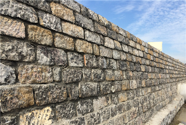 ΰ�¹���(victor1946)�ٷ���վ-Officials Website